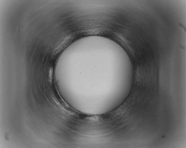 X0000101660118200807101034