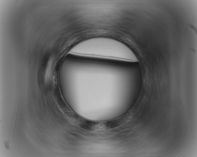 X0000101660119200807101034