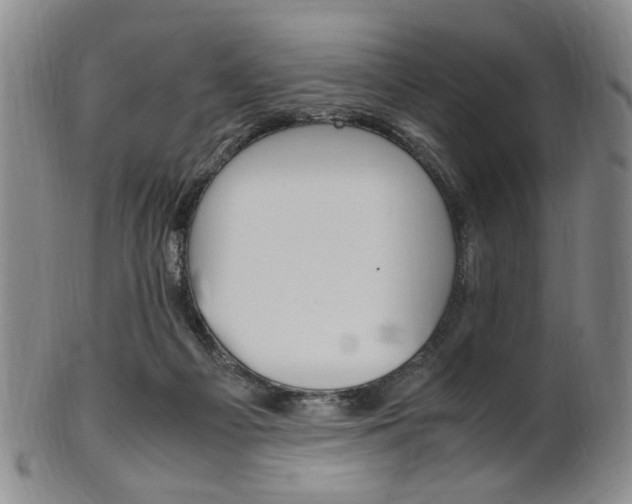 X0000101660121200807101034