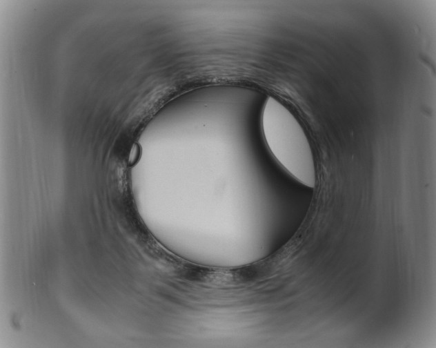 X0000101660123200807101034