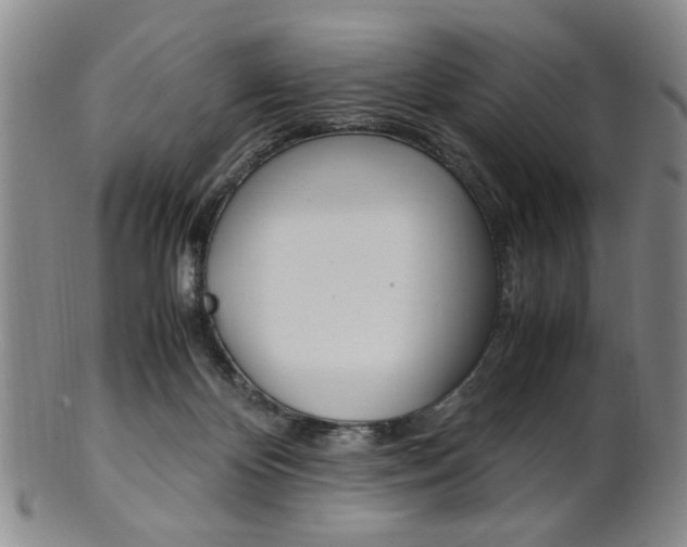 X0000101660124200807101034