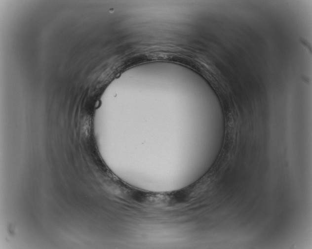 X0000101660125200807101034