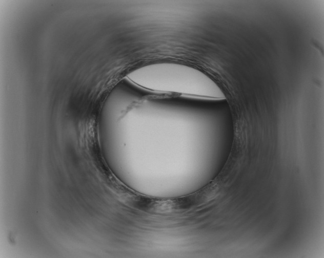X0000101660127200807101034