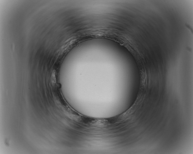 X0000101660128200807101034