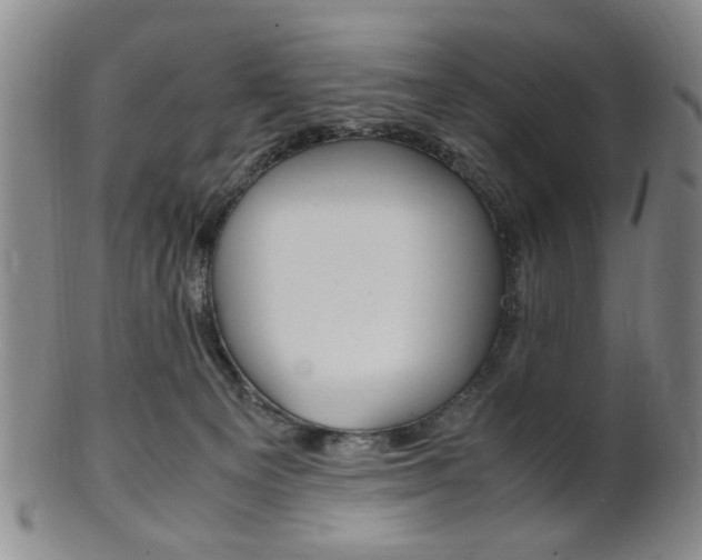 X0000101660129200807101034