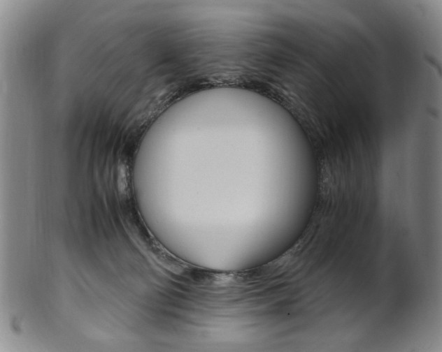 X0000101660130200807101034