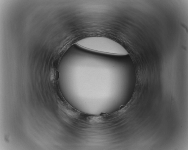 X0000101660132200807101034