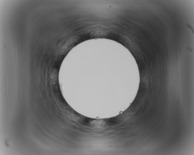 X0000101660133200807101034