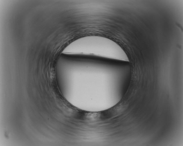 X0000101660135200807101034
