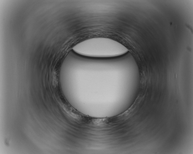 X0000101660136200807101034