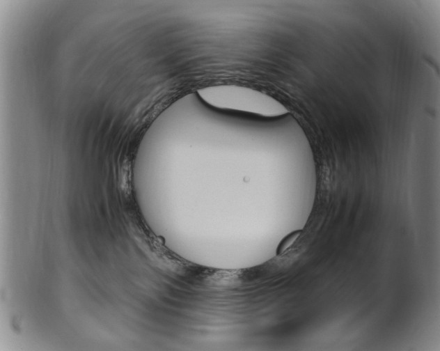 X0000101660138200807101034