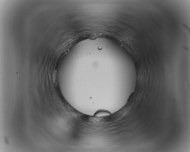 X0000101660139200807101034