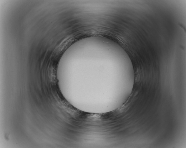 X0000101660140200807101034