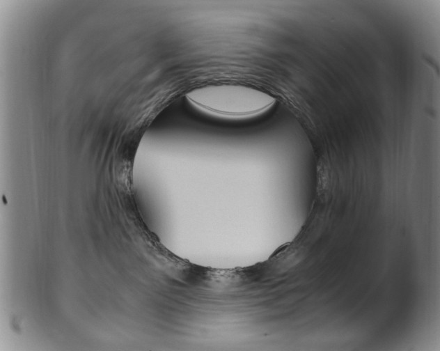 X0000101660141200807101034
