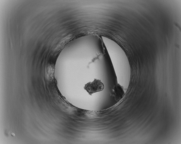 X0000101660142200807101034