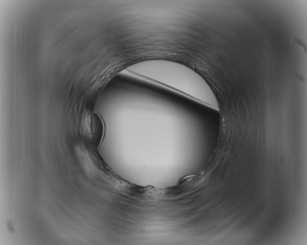 X0000101660143200807101034