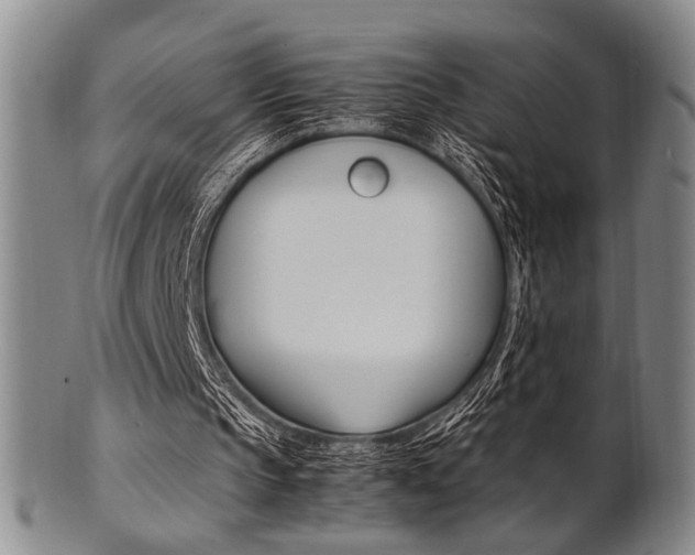 X0000101660145200807101033