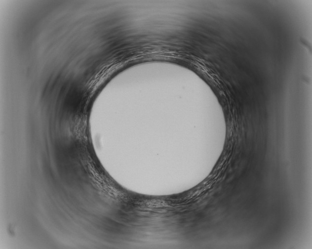 X0000101660146200807101033