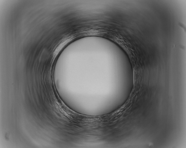 X0000101660147200807101033
