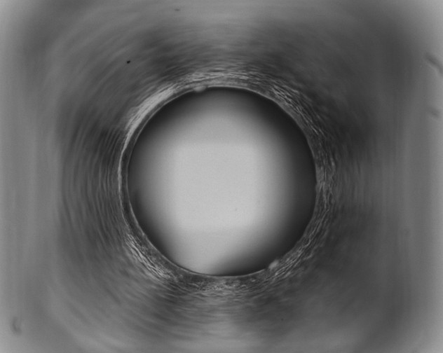 X0000101660148200807101033