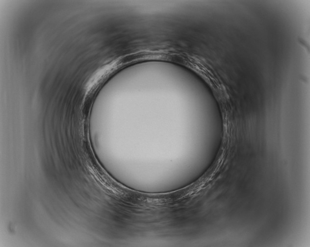 X0000101660149200807101033