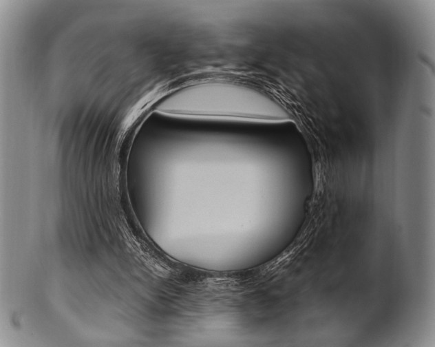 X0000101660150200807101033