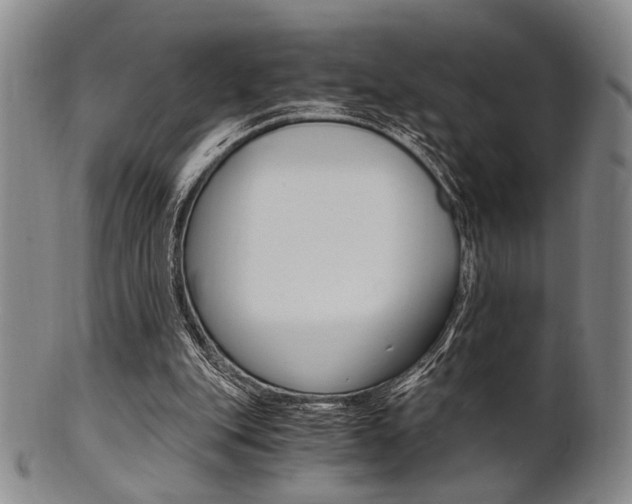 X0000101660151200807101033