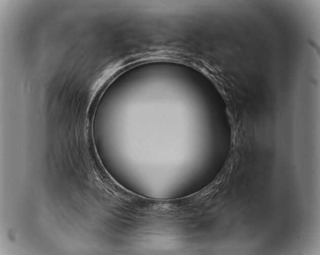 X0000101660152200807101033
