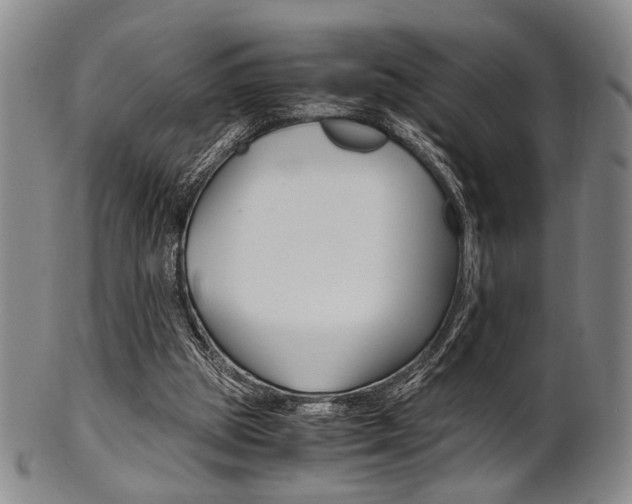 X0000101660153200807101033