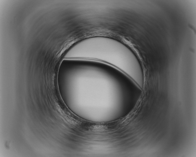 X0000101660154200807101033
