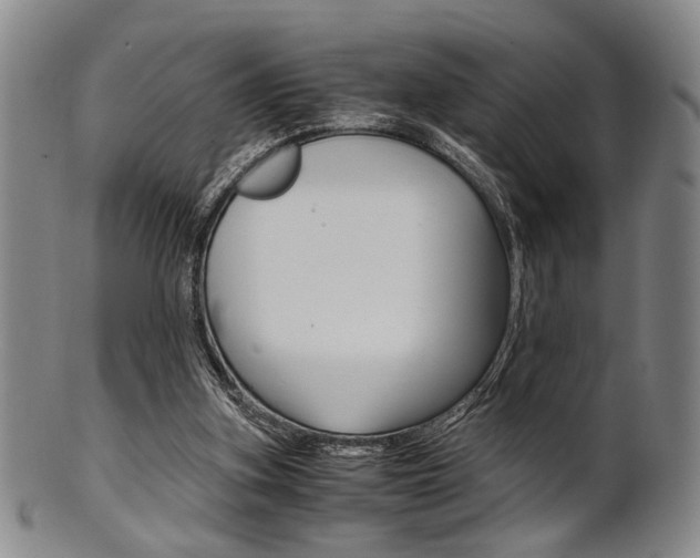X0000101660155200807101033