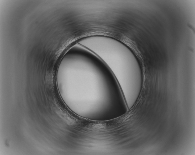 X0000101660156200807101033