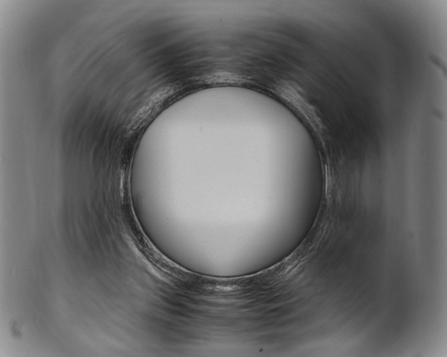 X0000101660157200807101033