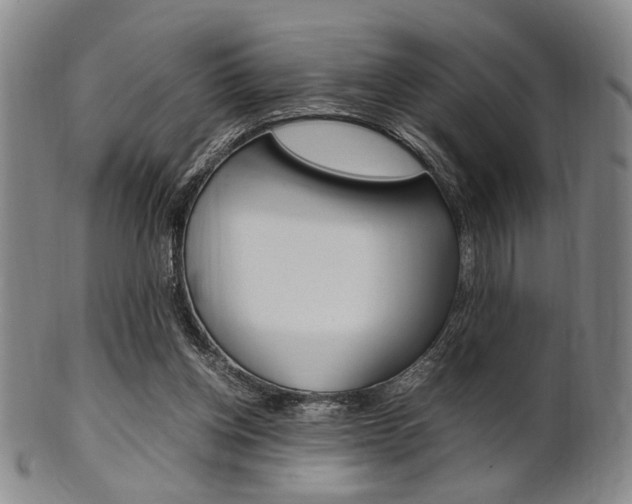 X0000101660158200807101033