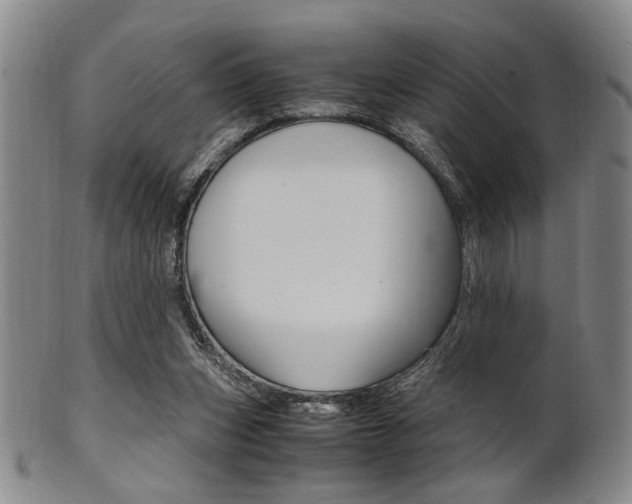 X0000101660159200807101033