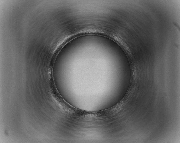 X0000101660160200807101033