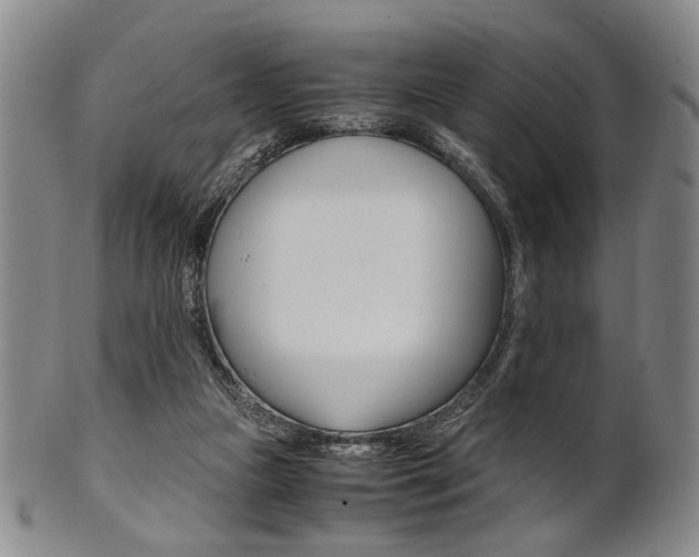 X0000101660161200807101033