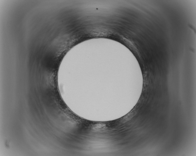 X0000101660162200807101033