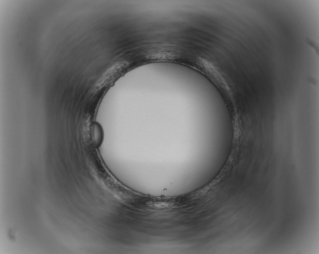 X0000101660163200807101033