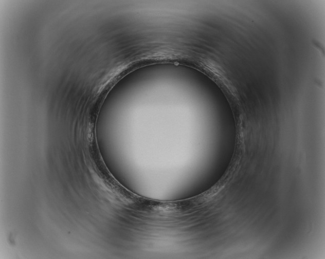 X0000101660164200807101033