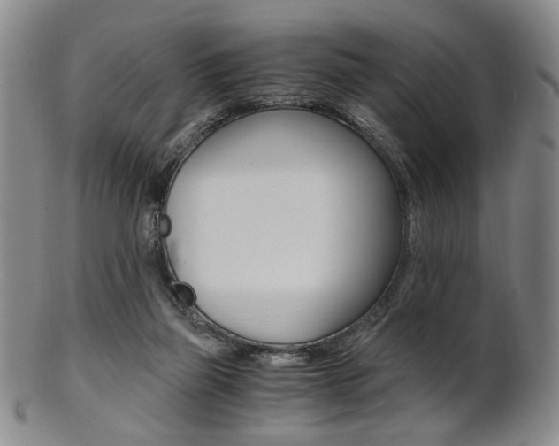 X0000101660165200807101034