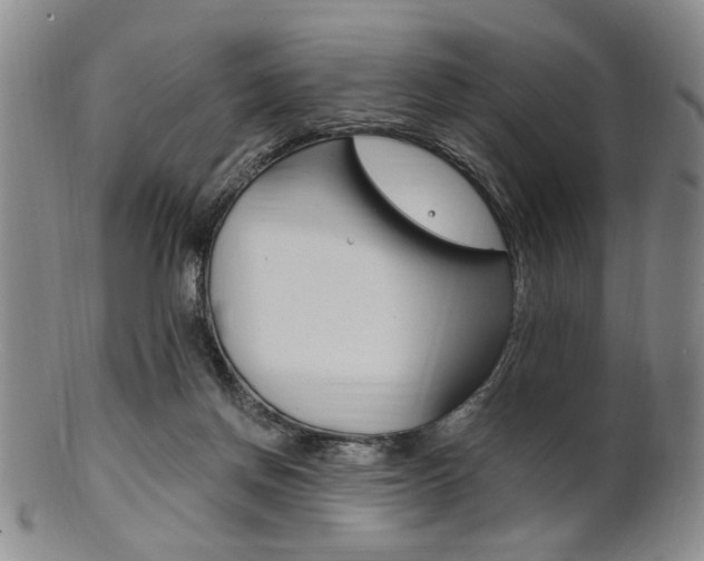 X0000101660166200807101034