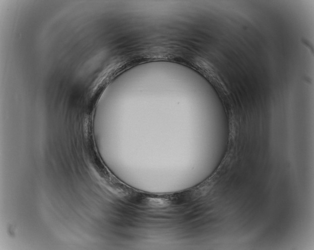 X0000101660167200807101034