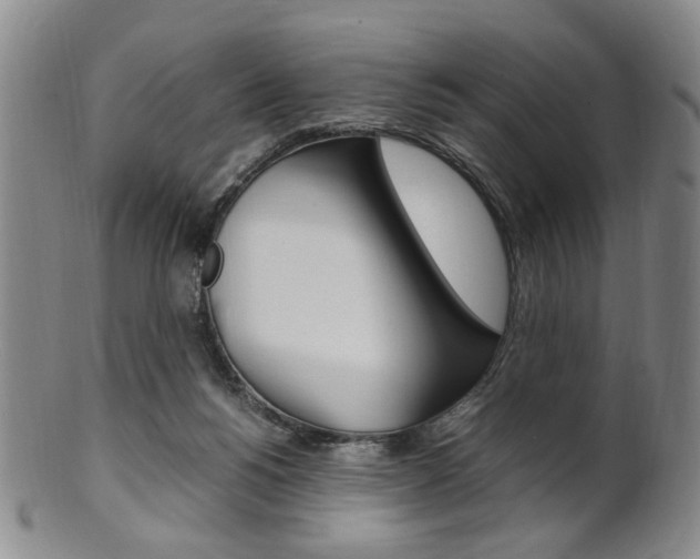 X0000101660168200807101034