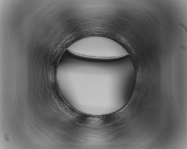 X0000101660170200807101034