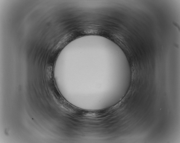 X0000101660171200807101034