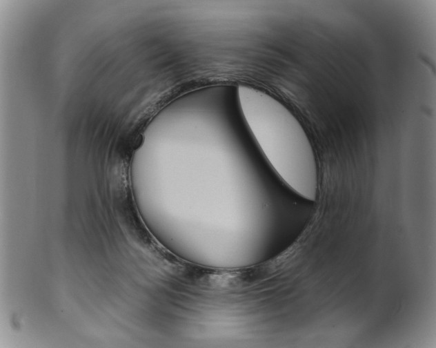 X0000101660172200807101034