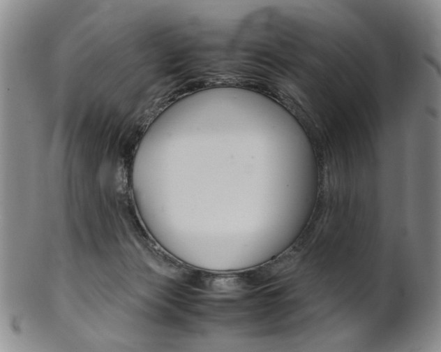 X0000101660173200807101034