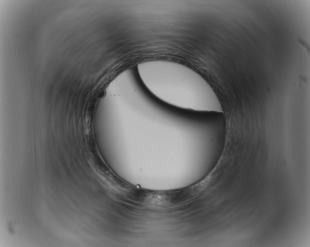X0000101660174200807101034