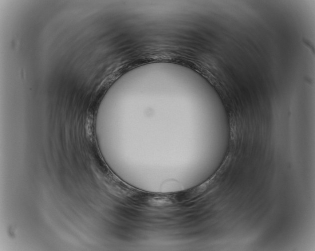 X0000101660175200807101034